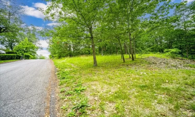 Smith Avenue, Newburgh, NY, ,Land,For Sale,Smith,H6256117