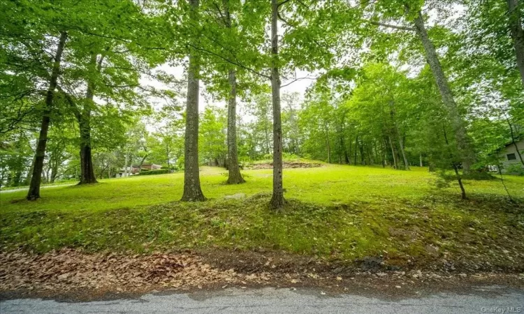 Smith Avenue, Newburgh, NY, ,Land,For Sale,Smith,H6256117