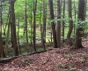 Tbd00 Little Hollow Road, Neversink, NY, ,Land,For Sale,Tbd00 Little Hollow,H6256806