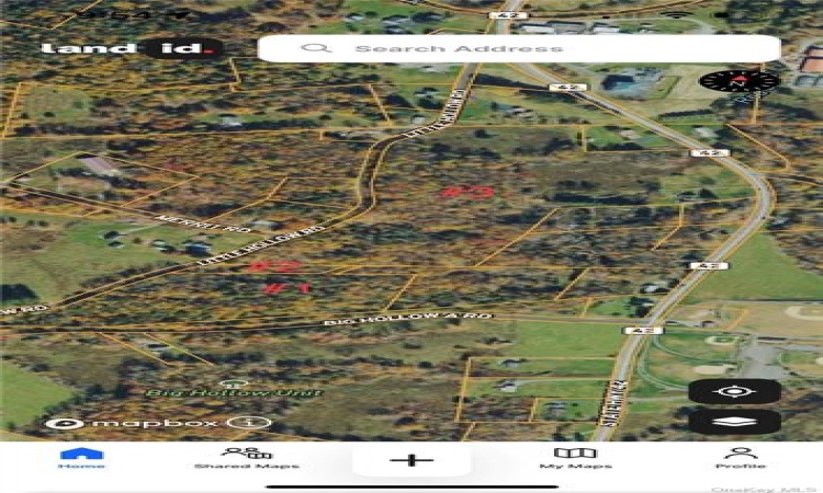 Tbd00 Little Hollow Road, Neversink, NY, ,Land,For Sale,Tbd00 Little Hollow,H6256806