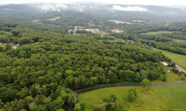 Tbd00 Little Hollow Road, Neversink, NY, ,Land,For Sale,Tbd00 Little Hollow,H6256806