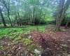 Tbd00 Little Hollow Road, Neversink, NY, ,Land,For Sale,Tbd00 Little Hollow,H6256806