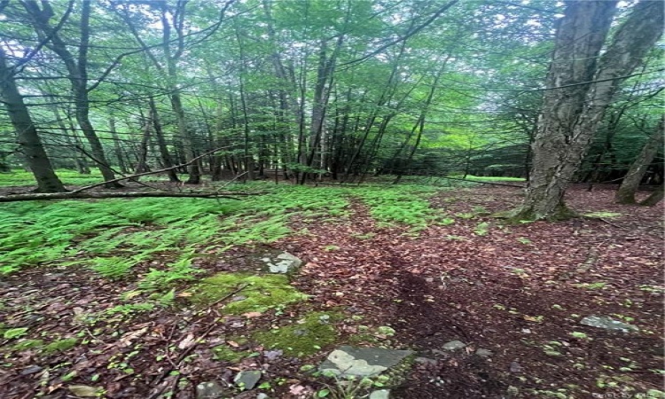 Tbd00 Little Hollow Road, Neversink, NY, ,Land,For Sale,Tbd00 Little Hollow,H6256806