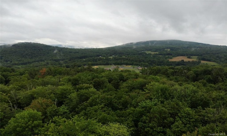 Tbd00 Little Hollow Road, Neversink, NY, ,Land,For Sale,Tbd00 Little Hollow,H6256806