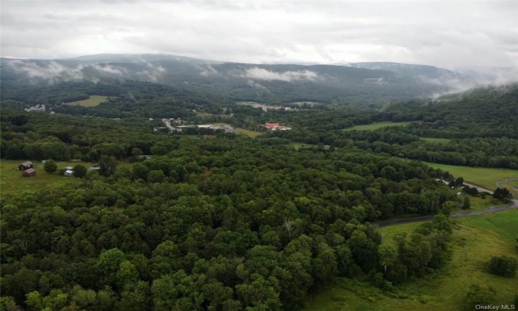 Tbd00 Little Hollow Road, Neversink, NY, ,Land,For Sale,Tbd00 Little Hollow,H6256806