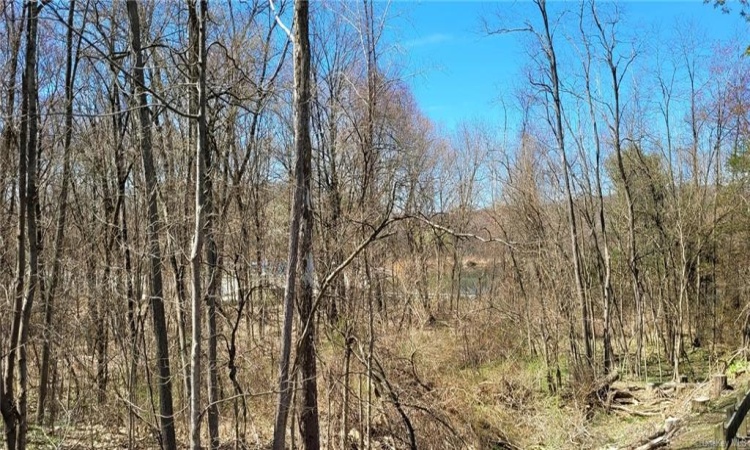 1055 Route 82, East Fishkill, NY, ,Land,For Sale,Route 82,H6149162