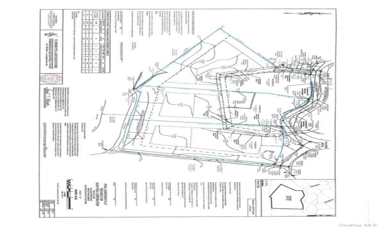 Lot #1 Castle Road, Greenburgh, NY, ,Land,For Sale,Castle,H6243486