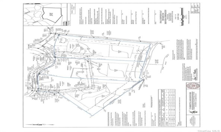 The record and survey of the entire parcel, with all three lots. Each lot is outlined in blue