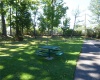 Picnic Area