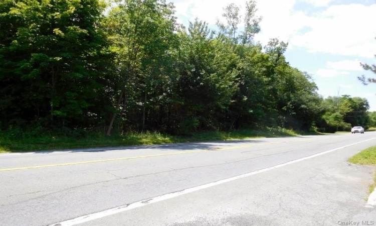 Route 211 E, Wallkill, NY, ,Land,For Sale,Route 211 E,H4734506