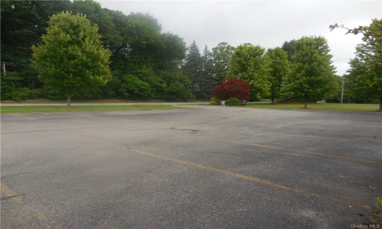 334 County Route 49 Route, Wawayanda, NY, ,Commercial Lease,For Rent,County Route 49,H6196658