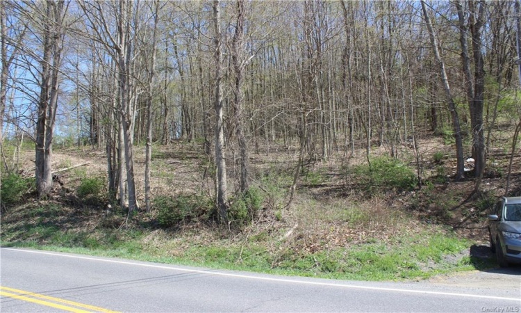 0 Old Route 22, Amenia, NY, ,Land,For Sale,Old Route 22,H6264164