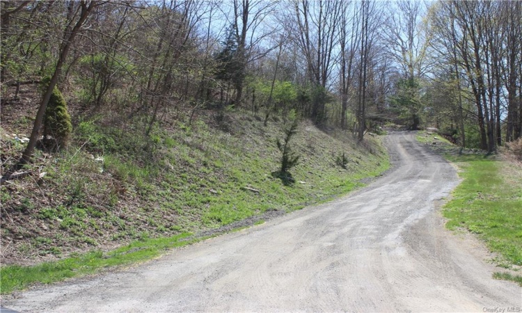 0 Old Route 22, Amenia, NY, ,Land,For Sale,Old Route 22,H6264164