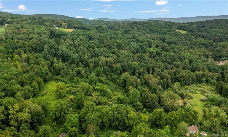 Cox - Lot 23 Road, Pawling, NY, ,Land,For Sale,Cox - Lot 23,H6263473