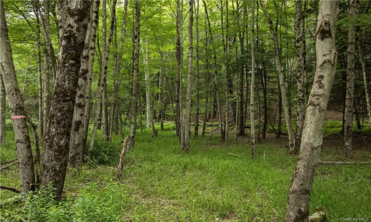 Lot 4 Chapin Trail, Bethel, NY, ,Land,For Sale,Chapin,H6204195