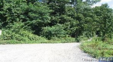 Route 9, Philipstown, NY, ,Land,For Sale,Route 9,H6236800