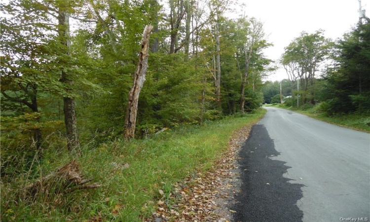 Plank Road, Bethel, NY, ,Land,For Sale,Plank,H6237065