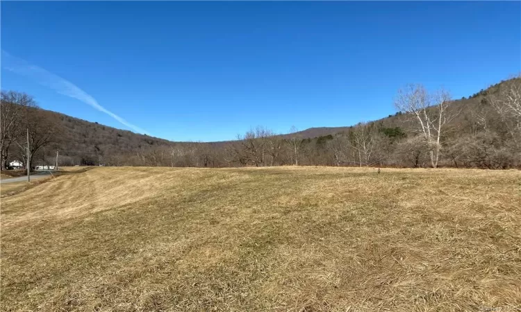 Old Mill Road, Hancock, NY, ,Land,For Sale,Old Mill,H6173869