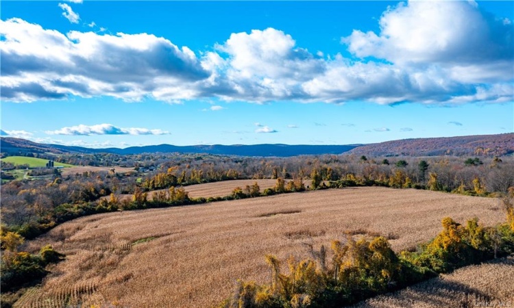 From middle field looking to the south. Property ends beyond cleared fields to the south and extends into woods on the right.