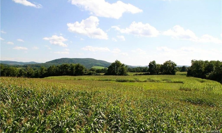 Soybeans are an alternating crop.