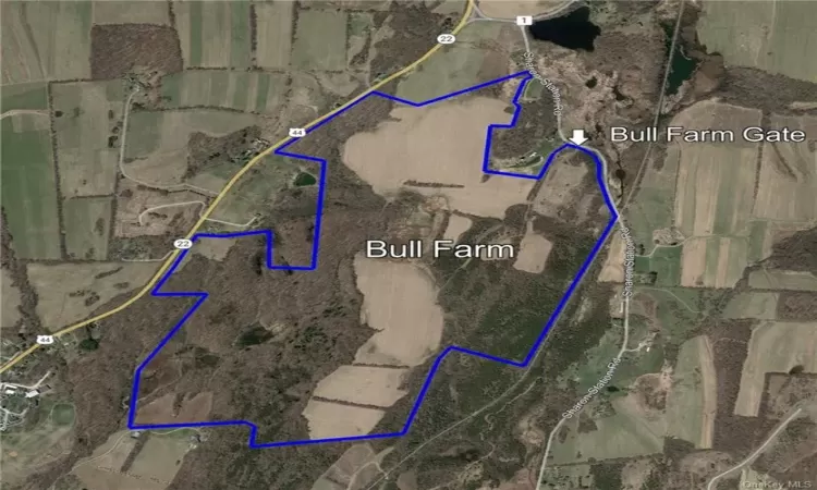 The 389.21 acre parcel outlined in blue.