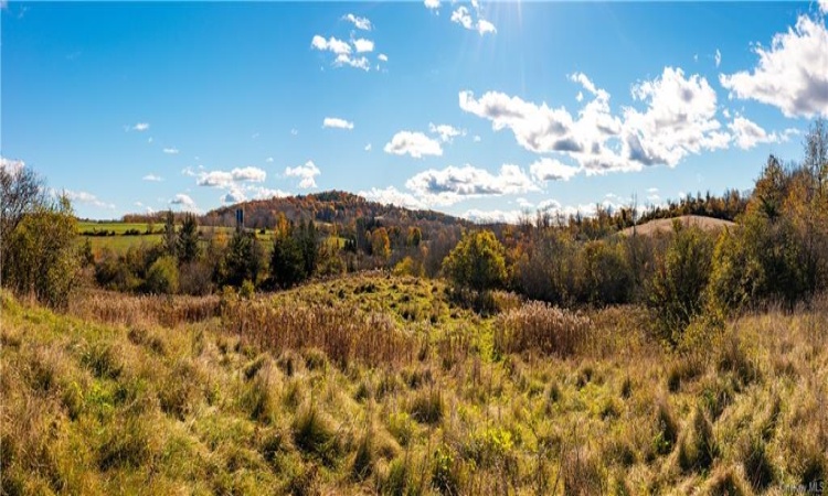 A cleared area near the Sharon Station access road, looking south.