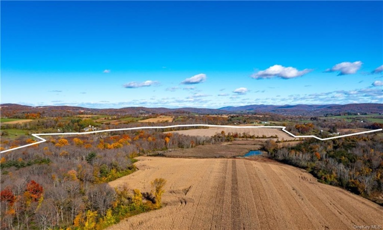 Looking from the middle of the property to the north. White line shows approximate parcel boundary.