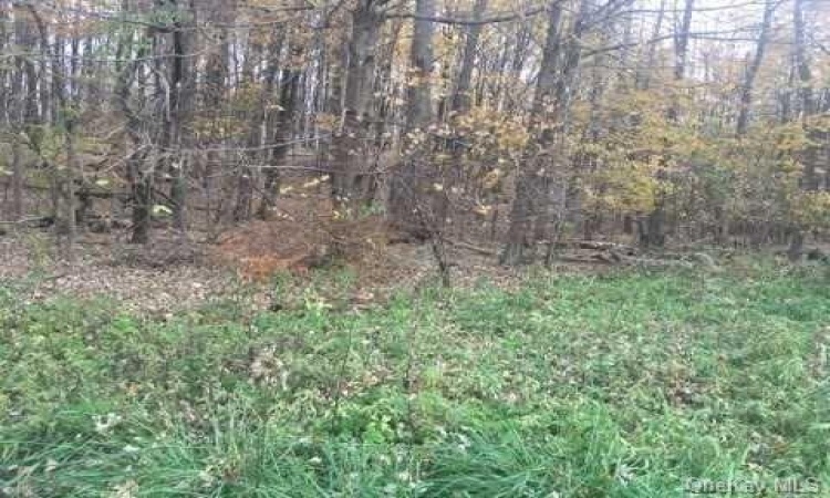 2452 Route 52, East Fishkill, NY, ,Land,For Sale,Route 52,H6217545