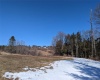 69 Likel Road, Callicoon, NY, ,Land,For Sale,Likel,H6238970