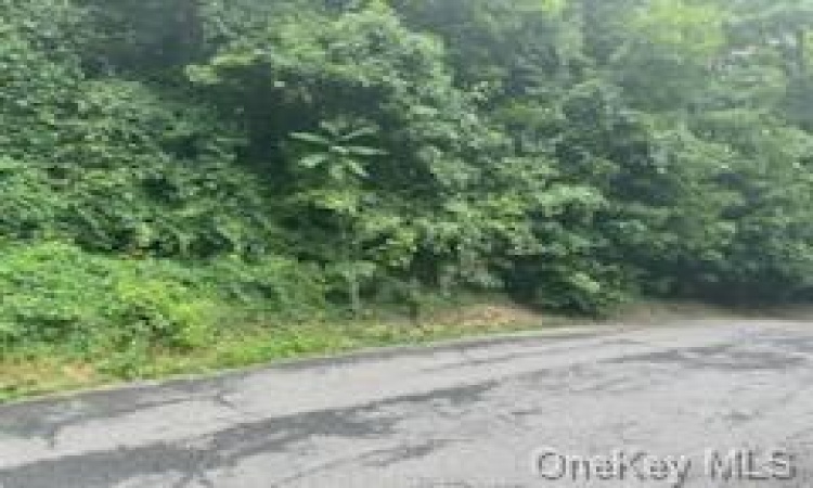 41 Chatham Terrace, Yonkers, NY, ,Land,For Sale,Chatham,H6255928