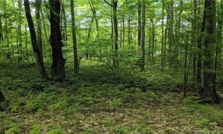 01 Allen Road, Mamakating, NY, ,Land,For Sale,Allen,H6233173