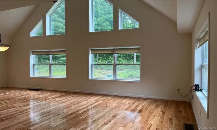 Unfurnished room featuring high vaulted ceiling, light hardwood / wood-style floors, and a healthy amount of sunlight