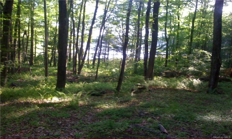 Lot 13 Woodstone Trail, Bethel, NY, ,Land,For Sale,Lot 13 Woodstone,H6188237