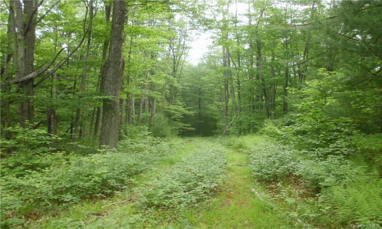 Lot 13 Woodstone Trail, Bethel, NY, ,Land,For Sale,Lot 13 Woodstone,H6188237