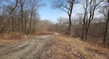 White Rock Road, Pawling, NY, ,Land,For Sale,White Rock,H6015368