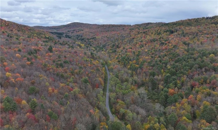 Huntley Hollow Road, Colchester, NY, ,Land,For Sale,Huntley Hollow,H6269467