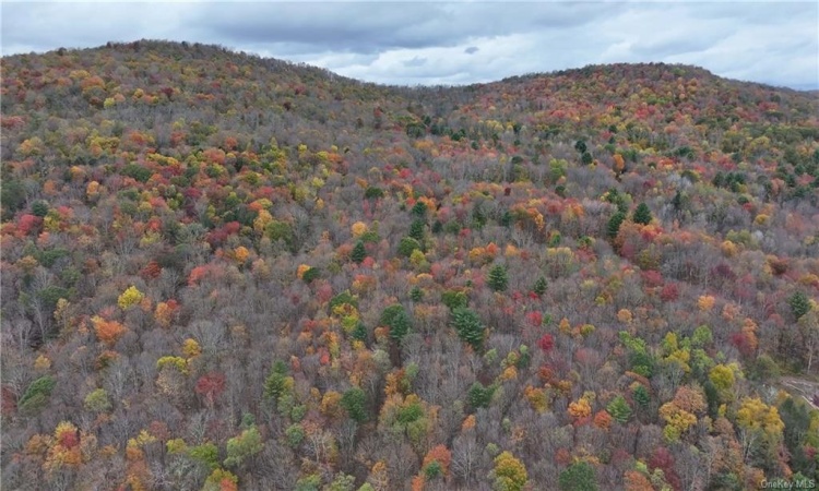 Huntley Hollow Road, Colchester, NY, ,Land,For Sale,Huntley Hollow,H6269467