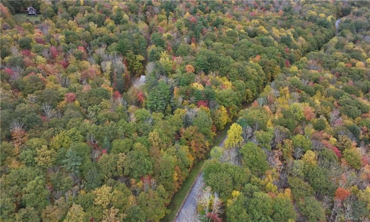 Huntley Hollow Road, Colchester, NY, ,Land,For Sale,Huntley Hollow,H6269467