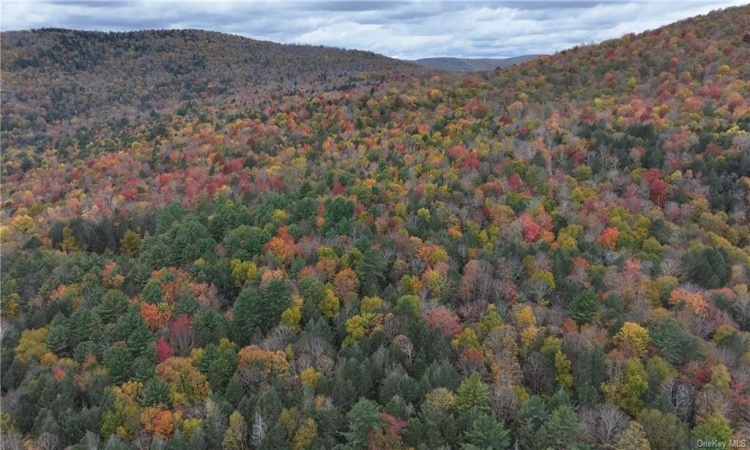 Huntley Hollow Road, Colchester, NY, ,Land,For Sale,Huntley Hollow,H6269467