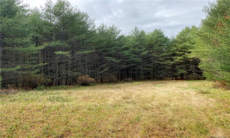 Stag Forest Road, Forestburgh, NY, ,Land,For Sale,Stag Forest,H6268672