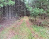 Stag Forest Road, Forestburgh, NY, ,Land,For Sale,Stag Forest,H6268672