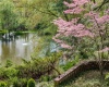 Privately owned pond  with flowering Dogwoods- fishing, ice  skating,  paddle  boarding...