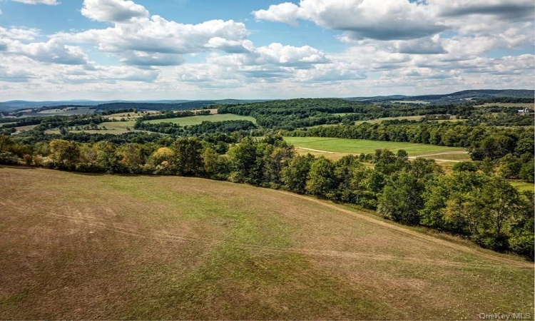 04 Bauernfiend Road, Delaware, NY, ,Land,For Sale,Bauernfiend,H6270844