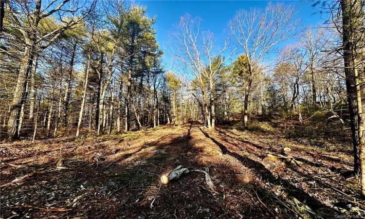 Hartwood Road, Forestburgh, NY, ,Land,For Sale,Hartwood,H6239524