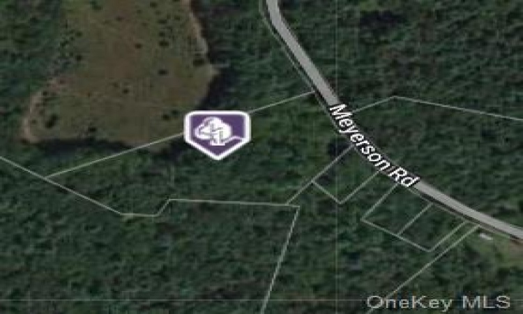 Meyerson Road, Mamakating, NY, ,Land,For Sale,Meyerson,H6272652