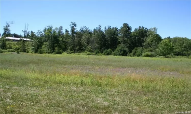 Lot TBD Nys Route 17B, Thompson, NY, ,Land,For Sale,Nys Route 17B,H6273719