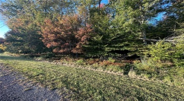 Ulster Heights Road, Fallsburg, NY, ,Land,For Sale,Ulster Heights,H6275528