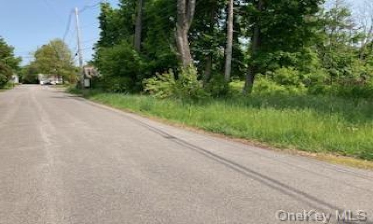 Maple Avenue, Fishkill, NY, ,Land,For Sale,Maple,H6266853