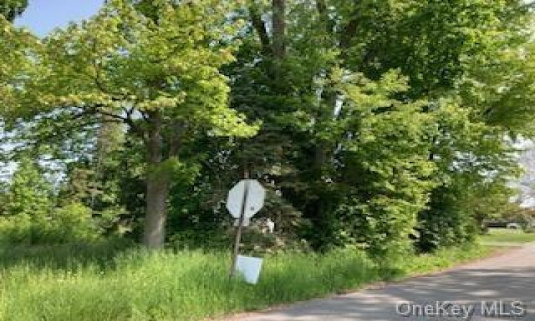 Maple Avenue, Fishkill, NY, ,Land,For Sale,Maple,H6266853