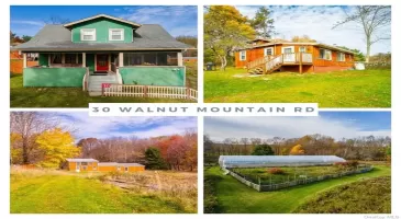 30 Walnut Mountain Road, Liberty, NY, 5 Bedrooms Bedrooms, 12 Rooms Rooms,2 BathroomsBathrooms,Residential,For Sale,Walnut Mountain,H6273178